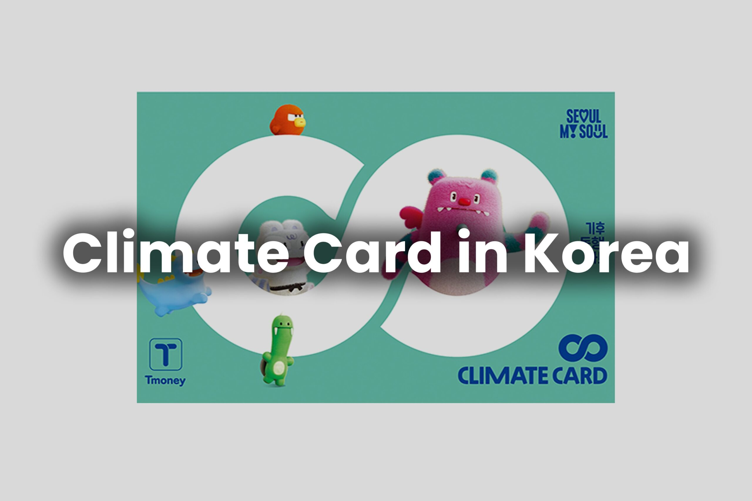 Climate Card in Korea: The Best Transit Pass for Workers & Students (2026)
